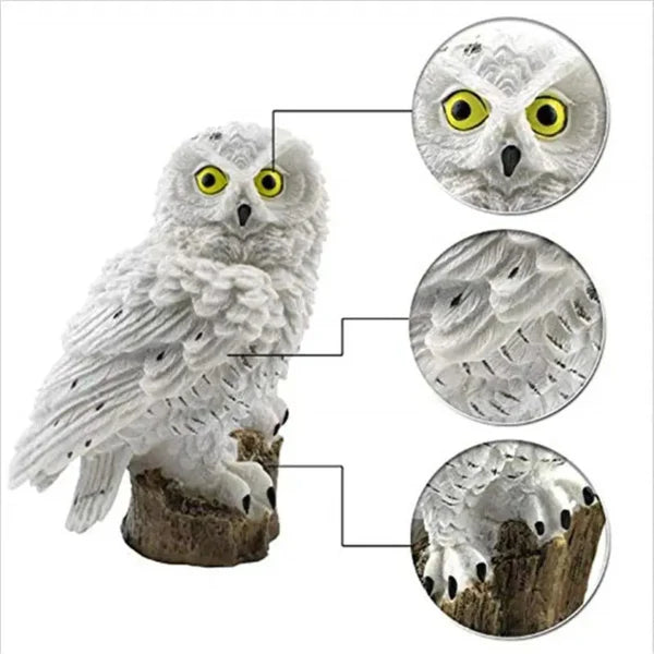 Buho solar LED™ - MAGICNIGHT