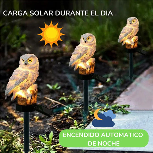 Buho solar LED™ - MAGICNIGHT